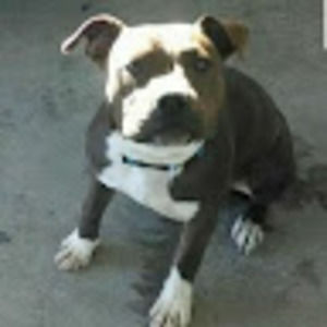 Meet your Posher, Edgar